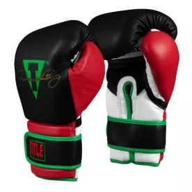 Боксерські рукавички TITLE Oscar De La Hoya Signature Gloves-14