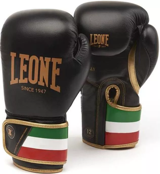 Боксерські рукавички Leone Italy Black-10