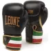 Боксерские перчатки Leone Italy Black-10