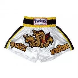 Шорты для муай тай Twins TBS-14-S