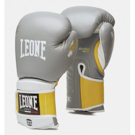 Боксерські рукавички Leone Tecnico -10